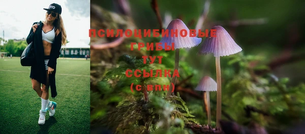 a pvp Алексеевка