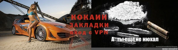 соль ск Алексин