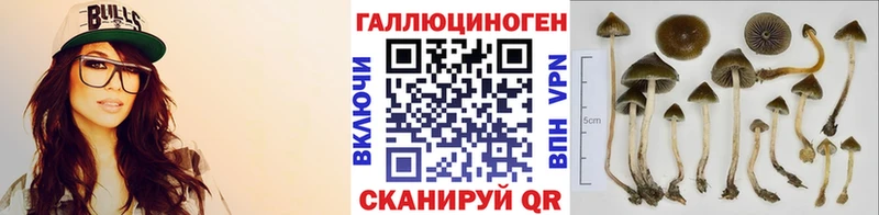 Галлюциногенные грибы ЛСД  мориарти официальный сайт  Данилов 